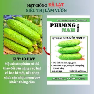 10 Hạt - Hạt Giống Dưa Nếp Non F1 Phương Nam
