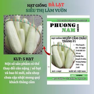 5 Hạt - Hạt Giống Mướp Cẩm Châu F1 Phương Nam