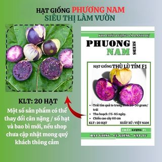 20 Hạt - Hạt Giống Thù Lù Tím F1 Phương Nam