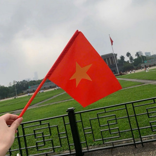 [GIAO NGẪU NHIÊN CÁN ĐỎ/ VÀNG] Cờ Vẫy Cờ Tổ quốc Cờ Quốc kỳ diễu hành múa văn nghệ 20x30 cm 1 mặt 2 mặt trang trí