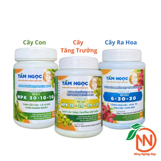 Bộ 3 NPK Tám Ngọc Chăm Lan Toàn Diện Qua Các Giai Đoạn - Xanh Lá, Mập Thân, Mập Rễ, Hoa Nhiều