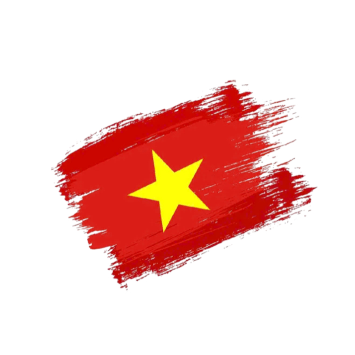 [HỎA TỐC] Hình ủi nhiệt quần áo mẫu LÁ CỜ VIỆT NAM,nhiều mẫu,nhiều size, ủi tại nhà bằng bàn ủi
