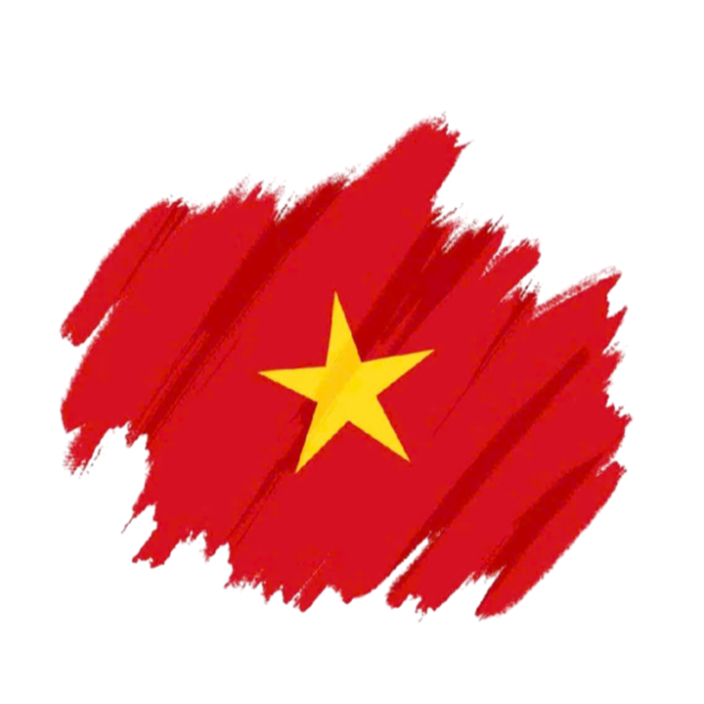 [HỎA TỐC] Hình ủi nhiệt quần áo mẫu LÁ CỜ VIỆT NAM,nhiều mẫu,nhiều size, ủi tại nhà bằng bàn ủi