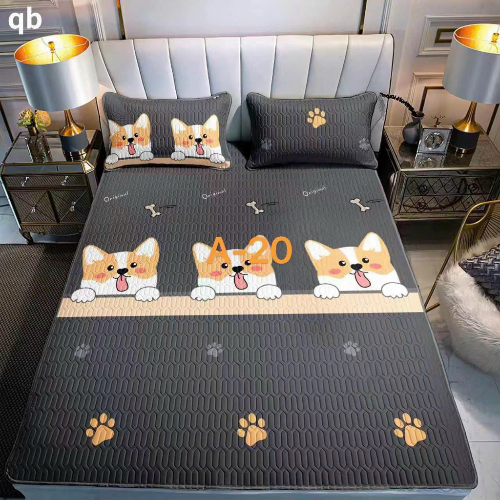 Chiếu Điều Hòa Cao Su Non Tặng Kèm 2 Vỏ Gối Đầu Hàng Loại 1
