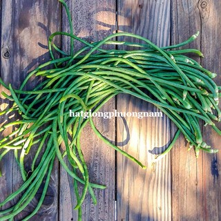 20 Hạt - Hạt Giống Đậu Đũa Siêu Dài 60 -80 Cm Phương Nam