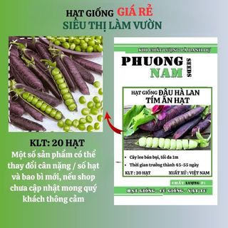 20 Hạt - Hạt Giống Đậu Hà Lan Tím Ăn Hạt / Ăn Quả Phương Nam