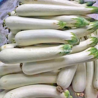 5 Hạt - Hạt Giống Mướp Bạch Ngọc F1 Phương Nam