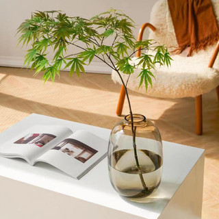 (Loaii 1 dày) Bình lọ cắm hoa thuỷ tinh dáng chum, miệng tròn