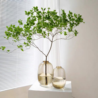 (Loaii 1 dày) Bình lọ cắm hoa thuỷ tinh dáng chum, miệng tròn