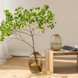 (Loaii 1 dày) Bình lọ cắm hoa thuỷ tinh dáng chum, miệng tròn