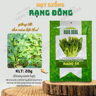 Cải ngọt bông Rado 55 (cải ngồng) dễ trồng, năng suất cao, Nhiều dinh dưỡng - Gói 20g