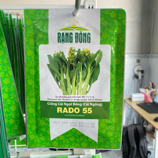 Cải ngọt bông Rado 55 (cải ngồng) dễ trồng, năng suất cao, Nhiều dinh dưỡng - Gói 20g