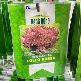 Hạt giống Xà Lách Tím Lollo Rossa dễ trồng, dễ chăm sóc, rau ăn sống, đẹp mắt - Gói 2g
