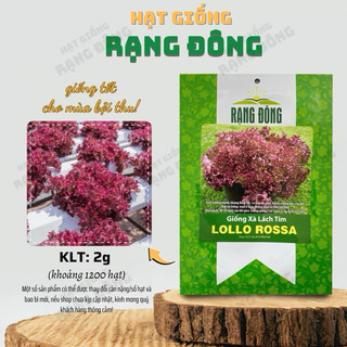 Hạt giống Xà Lách Tím Lollo Rossa dễ trồng, dễ chăm sóc, rau ăn sống, đẹp mắt - Gói 2g