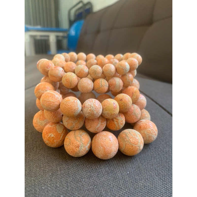 san hô vàng để mộc đủ size