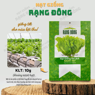 Hạt giống rau xà lách Rado 357 dễ trồng, ít sâu bệnh, nhanh thu hoạch, giàu dinh dưỡng - Gói 10g