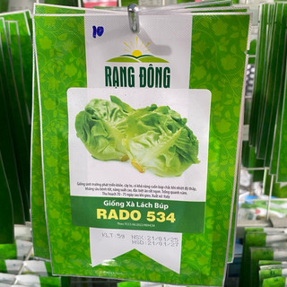 Hạt giống Xà lách búp Rado 534 dễ trồng, dễ nãy mầm, rau ăn sống, nhiều dinh dưỡng - Gói 5g
