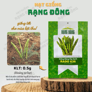 Hạt giống Măng Tây Xanh Rado 636 dễ chăm sóc, thu hoạch nhiều lần, giàu dinh dưỡng - Gói 0,5g