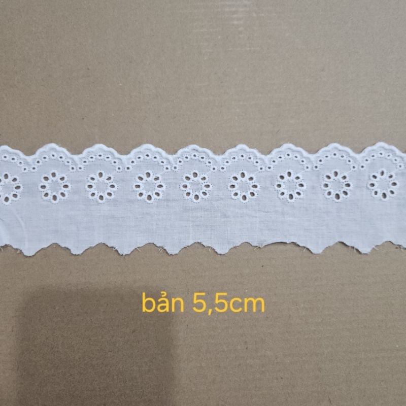 Trắng bản 5,5cm