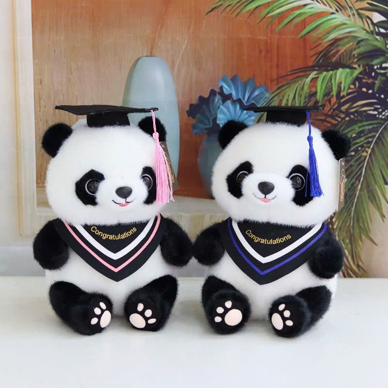 Gấu Bông Gấu Trúc, Teddy Tốt Nghiệp Cử Nhân Qùa Tặng Chúc Mùng Tốt Nghiệp Ý Nghĩa Siêu Đáng Yêu