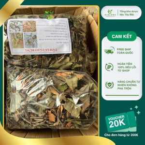 Tầm gửi gạo thượng hạng tốt cho người bị thận và xương khớp 1kg