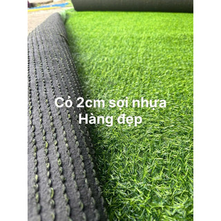 Thảm cỏ nhân tạo 2cm, 20-50m vuông khổ 2m, trải quán cà phê nhà hàng xanh đẹp.