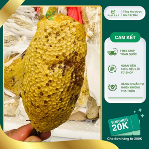 Bầu Mật Ong Ruồi Rừng Hút Chân Không 1kg