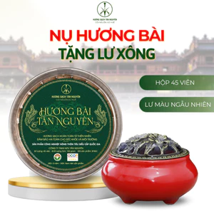 Hộp nụ hương bài Tân Nguyên 45 viên, thơm dịu ngọt, xông nhà, thanh lọc không khí, khử ẩm