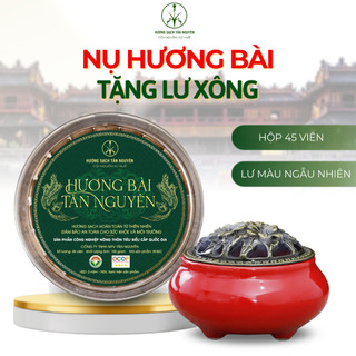 [OCOP 4 SAO - TẶNG LƯ XÔNG] Hộp nụ hương bài Tân Nguyên 45 viên, thơm dịu ngọt, xông nhà, thanh lọc không khí, khử ẩm