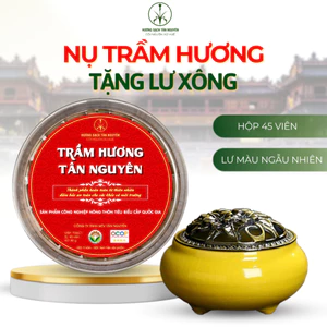 Hộp nụ trầm hương Tân Nguyên 45 viên, thơm dịu ngọt, xông nhà, thanh lọc không khí, khử ẩm