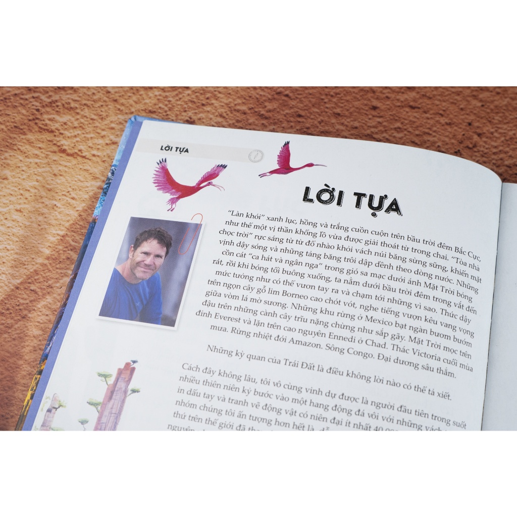 Ảnh Sách - Amazing - Bách khoa tri thức về Những điều phi thường nhất - Đinh Tị Books 3