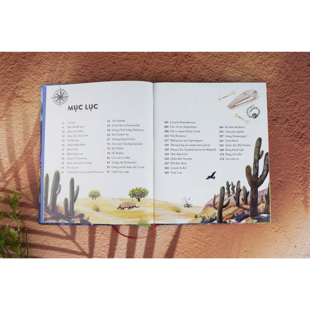 Ảnh Sách - Amazing - Bách khoa tri thức về Những điều phi thường nhất - Đinh Tị Books 2