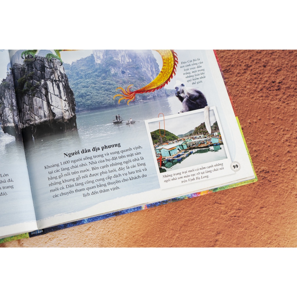 Ảnh Sách - Amazing - Bách khoa tri thức về Những điều phi thường nhất - Đinh Tị Books 4