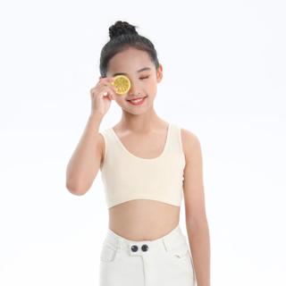 Set 3 Áo Lót Lá Hai Lớp Cho Bé Gái Mới Lớn (Size 20-50kg), Áo Lá Học Sinh Cotton King Shop B-508