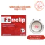 Sắt Bột Buccal Tan Ngay Trong Miệng Ferrolip Hộp 20 gói