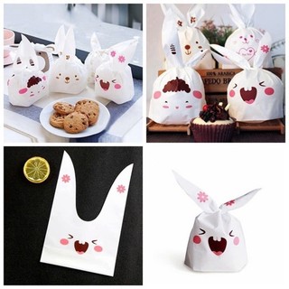 TÚI CHIA QUÀ SINH NHẬT SET 10 CÁI