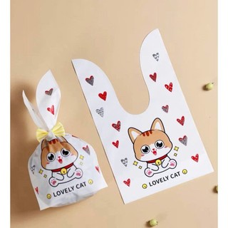 TÚI CHIA QUÀ SINH NHẬT SET 10 CÁI