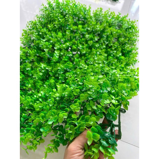 Tấm vĩ tai chuột trang trí tường, combo 10-100 tấm, hàng dày đẹp trang trú tường xanh bền đẹp.