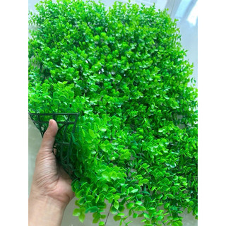 Tấm vĩ tai chuột trang trí tường, combo 10-100 tấm, hàng dày đẹp trang trú tường xanh bền đẹp.