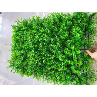 Tấm vĩ tai chuột trang trí tường, combo 10-100 tấm, hàng dày đẹp trang trú tường xanh bền đẹp.