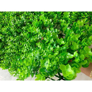 Tấm vĩ tai chuột trang trí tường, combo 10-100 tấm, hàng dày đẹp trang trú tường xanh bền đẹp.