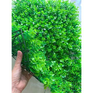 Tấm vĩ tai chuột trang trí tường, combo 10-100 tấm, hàng dày đẹp trang trú tường xanh bền đẹp.