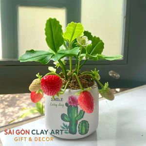Chậu dâu tây mini làm bằng đất sét để bàn cực xinh