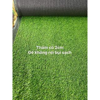 Thảm cỏ 2cm đẹp,combo 10-50m vuông, trải sân vườn trang trí sàn tường xanh đẹp.