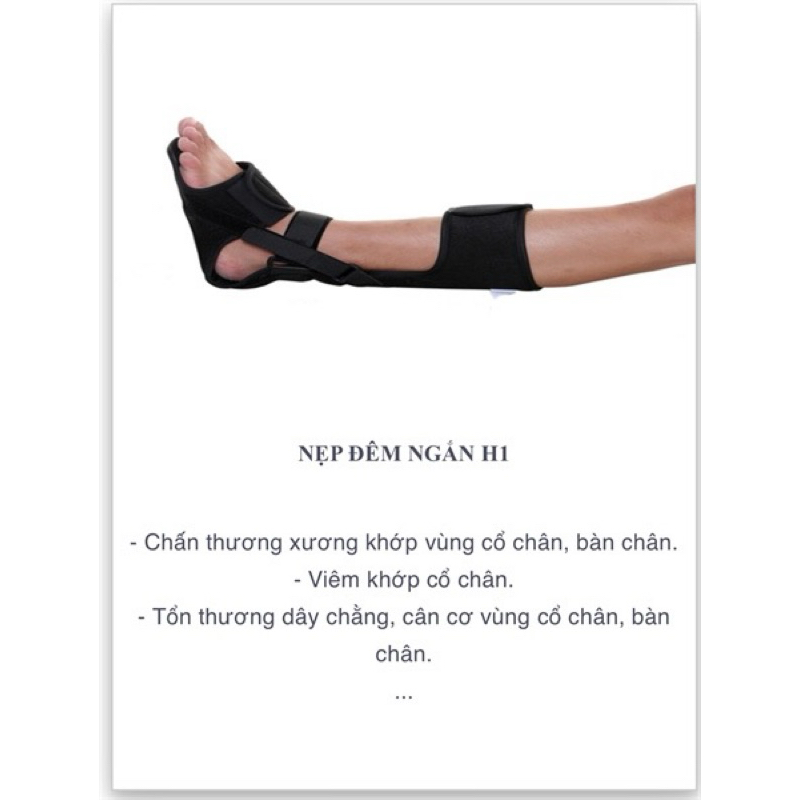 Nẹp đệm ngắn Orbe H1.