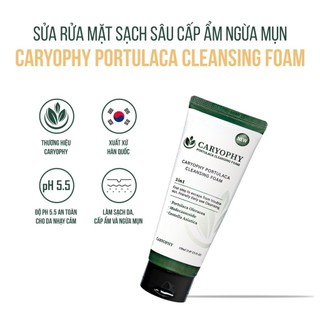 Sữa rửa mặt Caryophy Portulaca Cleansing Foam 150ml – SỮA RỬA MẶT SẠCH SÂU GẤP 2 LẦN, NGỪA MỤN TỐI ƯU