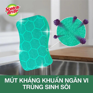 Miếng rửa chén hạt nổi siêu sạch Scotch-Brite 3M đa năng, mút hạt nổi kháng khuẩn, không bám cặn bẩn gây mùi, dễ vệ sinh