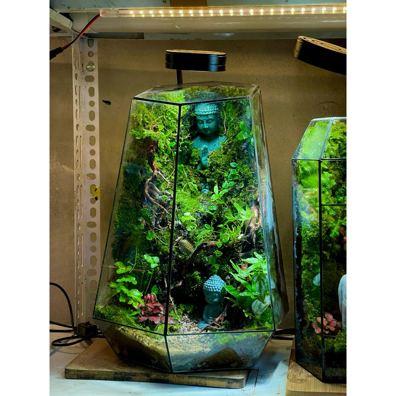 diện Phật decor bể tiểu cảnh,phong thuỷ, terrarium