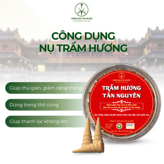 [OCOP 4 SAO + TẶNG 3 NỤ CAO CẤP] Hộp nụ trầm hương Tân Nguyên 45 viên, thơm dịu, xông nhà thanh lọc không khí khử ẩm mốc