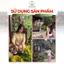 Hộp nụ bồ kết đuổi muỗi Tân Nguyên 45 viên, xông nhà, thanh lọc không khí, khử ẩm mốc